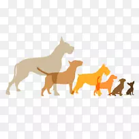 狗屋,猎犬,爪子,壁纸,加拿大爱斯基摩犬-空若网 狗屋,猎犬,爪子,壁纸,加拿大爱斯基摩犬-空若网