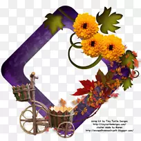 花卉设计-花型设计-空若网 花卉设计-花型设计-空若网