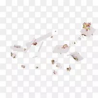 阿文代尔碎片角-碎片-空若网 阿文代尔碎片角-碎片-空若网