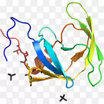 叶线点剪贴画-叶-空若网 叶线点剪贴画-叶-空若网