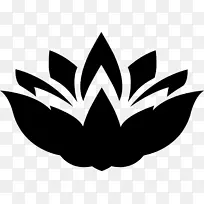 Nelumbo nucifera��Ӱ��������-��Ӱ-������