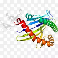昆虫蔬菜线害虫剪贴画-昆虫-空若网 昆虫蔬菜线害虫剪贴画-昆虫-空若网