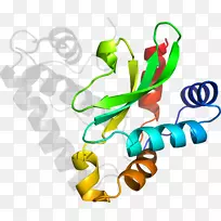食品植物茎夹艺术设计-空若网 食品植物茎夹艺术设计-空若网
