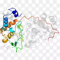 �ߵ������-��-������