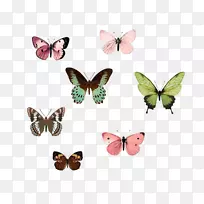 ���������滭��-������