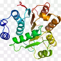 鞋生物线动物剪贴画线-空若网 鞋生物线动物剪贴画线-空若网