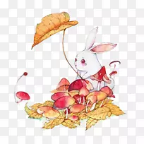 水彩画艺术插图-水彩兔-空若网 水彩画艺术插图-水彩兔-空若网