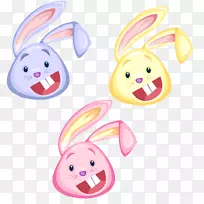 ����adobe�廭-������