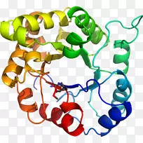 人体珠宝有机体剪贴画.珠宝-空若网 人体珠宝有机体剪贴画.珠宝-空若网