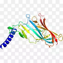 ƽ������ߵ��������-������