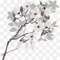 灰花-空若网 灰花-空若网