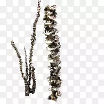 项链身饰.项链-空若网 项链身饰.项链-空若网