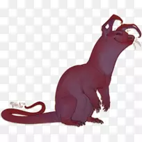 无毛猫-空若网 无毛猫-空若网