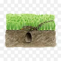 �������.�ֻ�ݵ���������-������