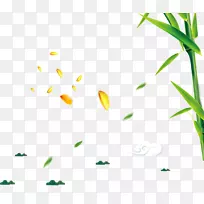 �������-�����װ������-������