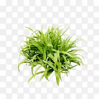 ��ƺ��-һ���̲�-������