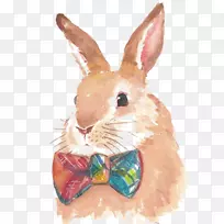 ÍÃË®²Ê»ÊÖ»æÍÃ-¿ÕÈôÍø ÍÃË®²Ê»ÊÖ»æÍÃ-¿ÕÈôÍø