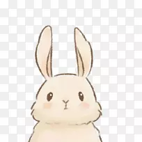 我们用心画摄影手绘兔-空若网 我们用心画摄影手绘兔-空若网