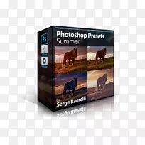 土坯照明系统教程.暑期班-空若网 土坯照明系统教程.暑期班-空若网