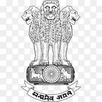 ��ɫ������-������