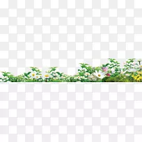 �������ͼ��-������