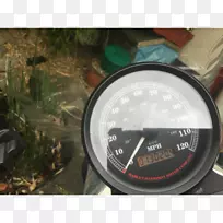 ������-���ظ��¹��״���ɭ-������