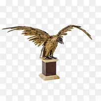 雕鹰-空若网 雕鹰-空若网