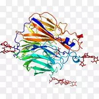 ƽ������ߵ��������-������