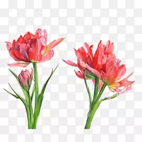 »¨»ÜÉè¼ÆË®²Ê»ðÐðÄÓô½ðÏ㻨ˮ²Ê»-¿ÕÈôÍø »¨»ÜÉè¼ÆË®²Ê»ðÐðÄÓô½ðÏ㻨ˮ²Ê»-¿ÕÈôÍø