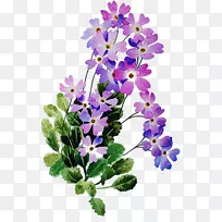 花卉设计花瓣中提琴草本植物-花-空若网 花卉设计花瓣中提琴草本植物-花-空若网