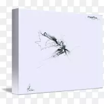 纸图形设计昆虫画框.昆虫-空若网 纸图形设计昆虫画框.昆虫-空若网