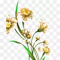 Ë®²Ê»ÏÂÔØ-Ë®²Ê»-¿ÕÈôÍø Ë®²Ê»ÏÂÔØ-Ë®²Ê»-¿ÕÈôÍø