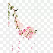 Ë®²Ê»ç§.ÌÒ½ðÄï²åͼ.Ë®²Ê»»¨-¿ÕÈôÍø Ë®²Ê»ç§.ÌÒ½ðÄï²åͼ.Ë®²Ê»»¨-¿ÕÈôÍø