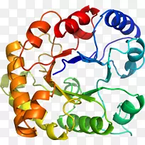人体珠宝有机体线条剪贴画.珠宝-空若网 人体珠宝有机体线条剪贴画.珠宝-空若网