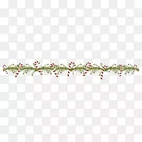 ϸ֦��ֲ�ﾥϵ-������