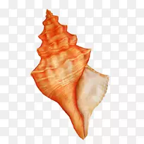 Ë®²Ê»Ë®²Ê»-¿ÕÈôÍø Ë®²Ê»Ë®²Ê»-¿ÕÈôÍø