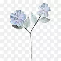 �л���԰õ�廨�����-������