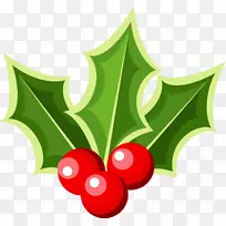 ��ͼ-��ͨ��ӣ��-������