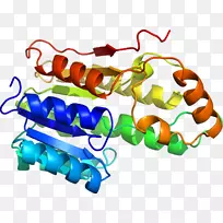 ͬԴÐÔÄ£Äâµ°°×ÖʽṹԤ²âÏß³Ì-°¢ÄªÎ÷ÁÖËá-¿ÕÈôÍø ͬԴÐÔÄ£Äâµ°°×ÖʽṹԤ²âÏß³Ì-°¢ÄªÎ÷ÁÖËá-¿ÕÈôÍø