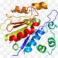 Êß²ËÓлúÌåϵÁмôÌù»-Êß²Ë-¿ÕÈôÍø Êß²ËÓлúÌåϵÁмôÌù»-Êß²Ë-¿ÕÈôÍø