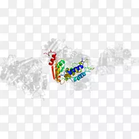 �̱�-����-������