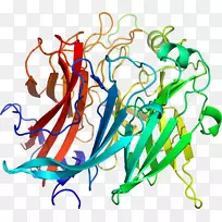 线点生物剪贴画线-空若网 线点生物剪贴画线-空若网