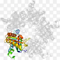 �ߵ�������-������