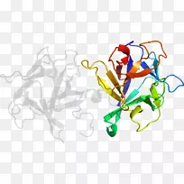 ƽ����Ƽ�����.���-������