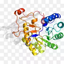 线点生物剪贴画线-空若网 线点生物剪贴画线-空若网
