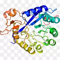 人体珠宝有机体线条剪贴画.珠宝-空若网 人体珠宝有机体线条剪贴画.珠宝-空若网