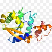 ƽ����Ƽ�����.���-������