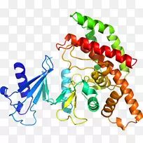 人体珠宝有机体线条剪贴画.珠宝-空若网 人体珠宝有机体线条剪贴画.珠宝-空若网
