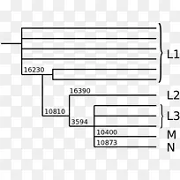 夏娃的七个女儿:揭示我们遗传祖先的科学线粒体dna单倍型线粒体前夜单倍体-人类树-空若网 夏娃的七个女儿:揭示我们遗传祖先的科学线粒体dna单倍型线粒体前夜单倍体-人类树-空若网