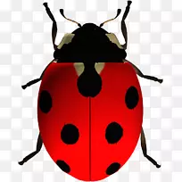 À¥³æÆ°³æ¼ôÌù»-À¥³æ-¿ÕÈôÍø À¥³æÆ°³æ¼ôÌù»-À¥³æ-¿ÕÈôÍø